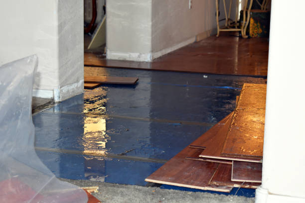 Professional Burst Pipe Cleanup technician working in Athens, MI